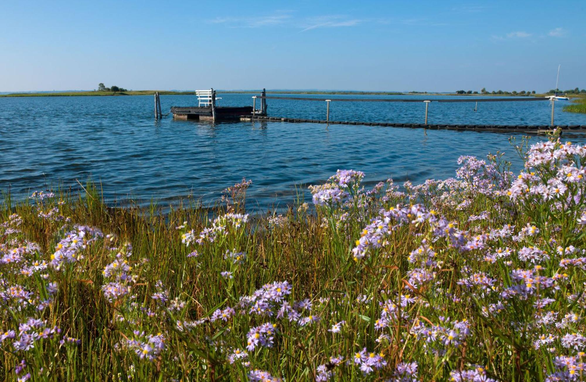 Haus Seeschwalbe Timmendorf Bagian luar foto
